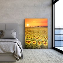 아란아트 복을 부르는 해바라기그림 15종 캔버스액자 실내인테리어, 14 금화 해바라기(세로형)