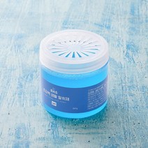 NEW BAS 바스 초강력 생활 탈취제 397g 미국 백악관 탈취제, 단품