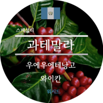 [커피생두]2023 뉴크랍 ﻿과테말라 우에우에텡고 와이칸 워시드 스페셜티 생두1kg