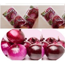 순수 양파껍질즙 진액60팩(115ml) 특( 양파껍질 97%첨가) 양파속보다 껍질 케르세틴 함량300배차이, 양파즙60팩
