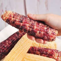 [산지발송] 깅동식님의 삶은 냉동 흑찰 옥수수, 흑찰옥수수 30개입(3개씩 포장)