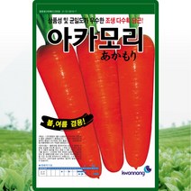 아카모리당근 씨앗 당근 씨 종자 400립, 단품