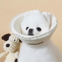 정전기방지 코튼원단 레이스 소형견넥카라 실용적인