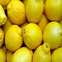 레몬 정품 팬시레몬 1kg 2kg 5kg 10kg 17kg, 04.정품/10kg, 대과