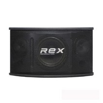 [xcm-1560rdmd내장스피커] REX RX-100 노래방 스피커 매장 행사용 스피커 10 인치 2개