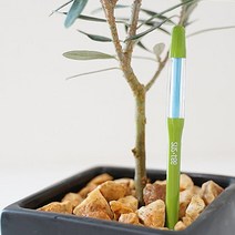 마이플랜트 SESTEE 서스티 M 물주기 알리미 토양 수분측정기, 색상:화이트