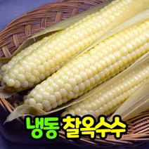 삼시세끼연구소 쫀득탱글 냉동 옥수수 찐옥수수 냉동찐옥수수 백찰옥수수 10개 15개 20개 특상품, 찐 찰옥수수(냉동)_10개