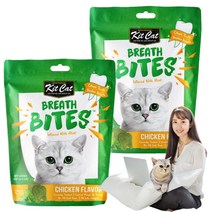 킷캣 브레쓰바이트 고양이 덴탈 치석제거 이빨과자 마약간식, 2팩, 닭고기맛 60g