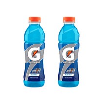 게토레이 블루볼트 펫, 600ml, 18개