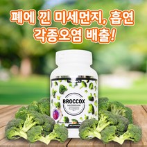 (PNC제품 브로콕스)초 미세먼지 중금속배출 설포라판 브로콜리 (PNC 20:1 Sulforaphane Broccox 90caps), undefined