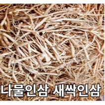 인삼나물 인삼무침 파삼 300g 1kg 나물용인삼 샐러드인삼 파지인삼 새싹인삼 새싹삼 새싹 인삼반찬용, 나물인삼 500g