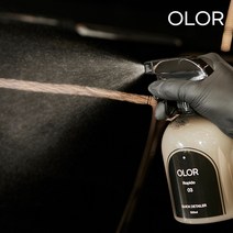 퀵디테일러 500ml 자동차 광택제 물왁스 관리 셀프세차용품, 퀵디테일러(래피도) 500ml