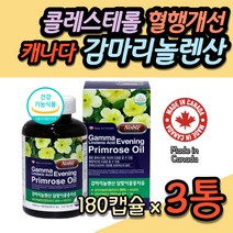 달맞이꽃 오일 GLA 여성 감마리놀렌산 식약처인증 혈행 콜레스테롤 개선 건강 기능식품 20대 30대 40대 여자 셀룰라이트 이마 가슴 여드름 턱여드름 피부 뾰루지 주근깨 기미 개선