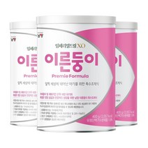 남양유업 임페리얼드림 XO 이른둥이 신생아분유 아이사랑 400g 3캔, 3세트