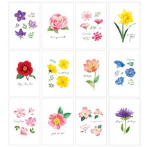 마음담아 60장세트 감성 일러스트 장미 꽃 인테리어 플라워 가든 엽서, 엽서60장세트, 엽서60장세트