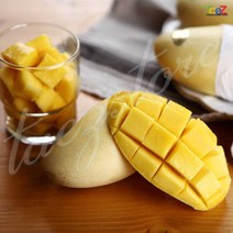 카라바오 필리핀 망고 S12과 2.5kg 선물용 추석과일, 단품