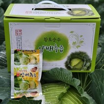 (산지직송)듬뿍농원 겉잎까지 찐하게 달인 무안 양배추즙 100포 100ml