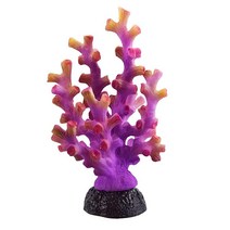 Underwater Treasures 옥토 코랄 - 퍼플 129988