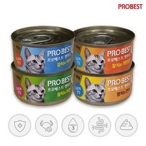 프로베스트 캣푸드 고양이 간식캔, 참치 + 치킨 혼합맛, 48개입