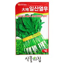 [식물의집] 일산열무 사계절열무씨 노지 하우스 열무 씨앗 종자 모종 키우기