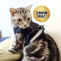 고양이용 입는 하네스 리드줄포함 국내제작, 블루