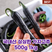 국내산 국산 가지 고추 500g 1kg 보라 색 자색 미인 고추 컬러 푸드 제철 영양 특색 이색 당뇨 혈당 좋은 음식 햇 고추 가지 특품