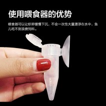 공급기 물고기 자동급여기 디지털 타이밍 수조 밥주는 거북이 해수어 장치 키우기 수족관, 풍년새우 전용 피더 1세트