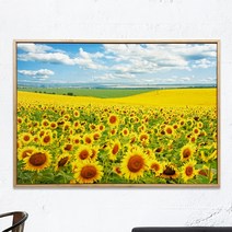 마카오팜 재물이 모이는 해바라기 그림액자, 07_OL부자되는 해바리기, 중대형 50x70cm
