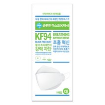 ( 30매 ) 퓨리타스 숨편한 마스크 KF94 국산 4중필터 화이트 대형 개별포장 숨쉬기편한 귀안아픈 큰얼굴 미세먼지 황사 마스크