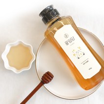 제주 야생화 벌꿀 선물세트 500g, 단품, 단품