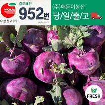 <해돋이농산> 국내산 제주 콜라비 적콜라비 3kg 5kg 10kg