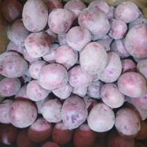 [23년] 카스테라 홍감자 자색 붉은감자, 10kg(중소), 1개