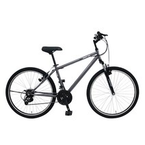 [삼천리자전거] 빅마운틴SF 21단 26인치 앞서스펜션 생활용 MTB 155cm~, 다크실버, 미조립박스