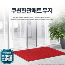 회사 엘리베이터 승강기 입구 매트 메트 업소용깔판, 1개, 매트 무지 적색 중