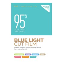 ASUS TUF Dash FX516PE 블루라이트컷액정필름 스크린보호 눈피로감소, 1