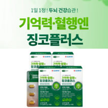 대두레시틴 GINKGO 뇌혈관영양제 뇌건강 은행잎추출물 뇌에좋은