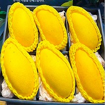 페루산 애플망고 프리미엄 태국 골드망고 3kg, 페루산애플망고3kg, 1개