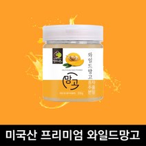 와일드망고 다이어트 씨앗 와이드망고 분말 가루 종자 추출 미국산 250g
