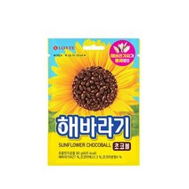 해바라기 초코볼 80g