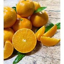 제주천혜향 고당도귤 서귀포 천혜향 천해향 천애향 천혜양 제주레드향 제주황금향 레드향 한라봉 황금향, 가정용10kg((혼합과/40과수내외)