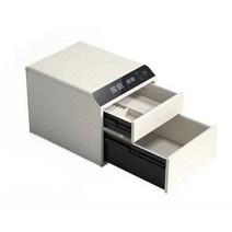 개인용 비상금 금고 프라이빗 서류보관함 소형금고, 블루 지문-블루투스