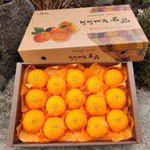 제주 프리미엄 천혜향 레드향 한라봉 백화점 제주도 2kg 3kg 5kg 산지직송 선물용 가정용 과일 설날 설 명절선물세트, 레드향 가정용5kg 25과내외
