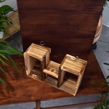 에어플랜트용 화분선반 벽걸이 루브라 내츄럴인테리어 크세로그라피카 수염틸란드시아