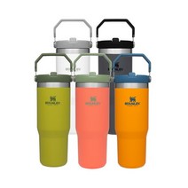 [스탠리공식유통사] 클래식 아이스플로우 플립 텀블러 887ml, 폴라화이트 10-09993-090, 폴라화이트 10-09993-090