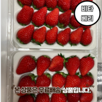 죽향딸기 제철 생딸기 설향 죽향 금실 메리퀸 킹스베리 만년설 비타베리 800g, 비타베리 800g 24-30입