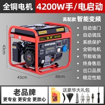 가정용 가솔린발 정음 소형차 싱글 외모 380 5KW3 소형발전기, T14-지능 주파수변조)4.2KW