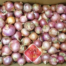 [수연중국식품] 중국양파 미니양파(모충), 1봉, 500g