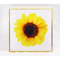 돈 들어오는 해바라기 풍수 오감 액자 거실 합격운 현관에두면좋은 집에걸면좋은 복 그림, 02. 실버, 해바라기 1번, 3호 (40 x 40 cm)