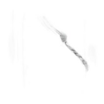 [질샌더] [명품]JIL SANDER SS TANGLE SM JWG P 탱글 스몰 TM