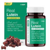 강아지 눈건강 눈물자국 눈영양제 펫생각 데일리케어 리얼 루테인 미니 애견영양제 츄어블 간식 눈노화 시력저하 예방, 6개